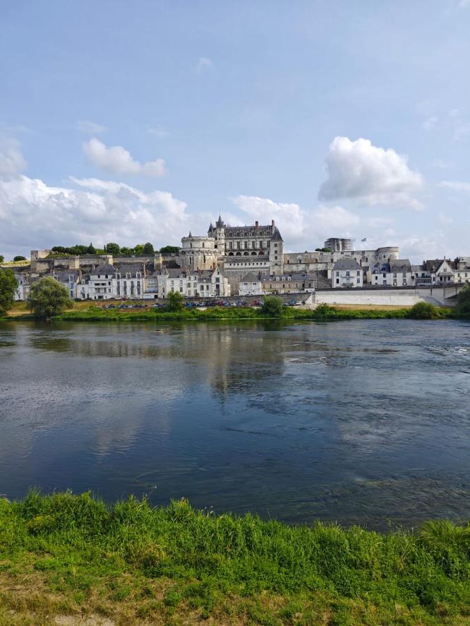 Le Nid De L'Ile Vila Amboise Exterior foto